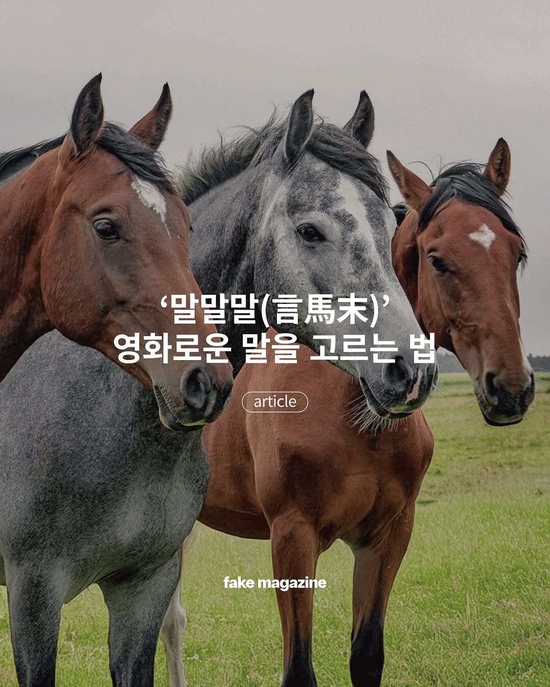 Photo by fake magazine 페이크 매거진 on February 15, 2026. May be an image of text that says ''말말말 '말말말(.)' （言 （言馬末）' 영화로운 말을 고르는 법 article fake fakemagazine magazine'.