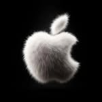 apple_kgzz 프로필 사진