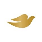 dove 프로필 사진