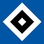 hsv 프로필 사진