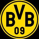 bvb09gaming 프로필 사진