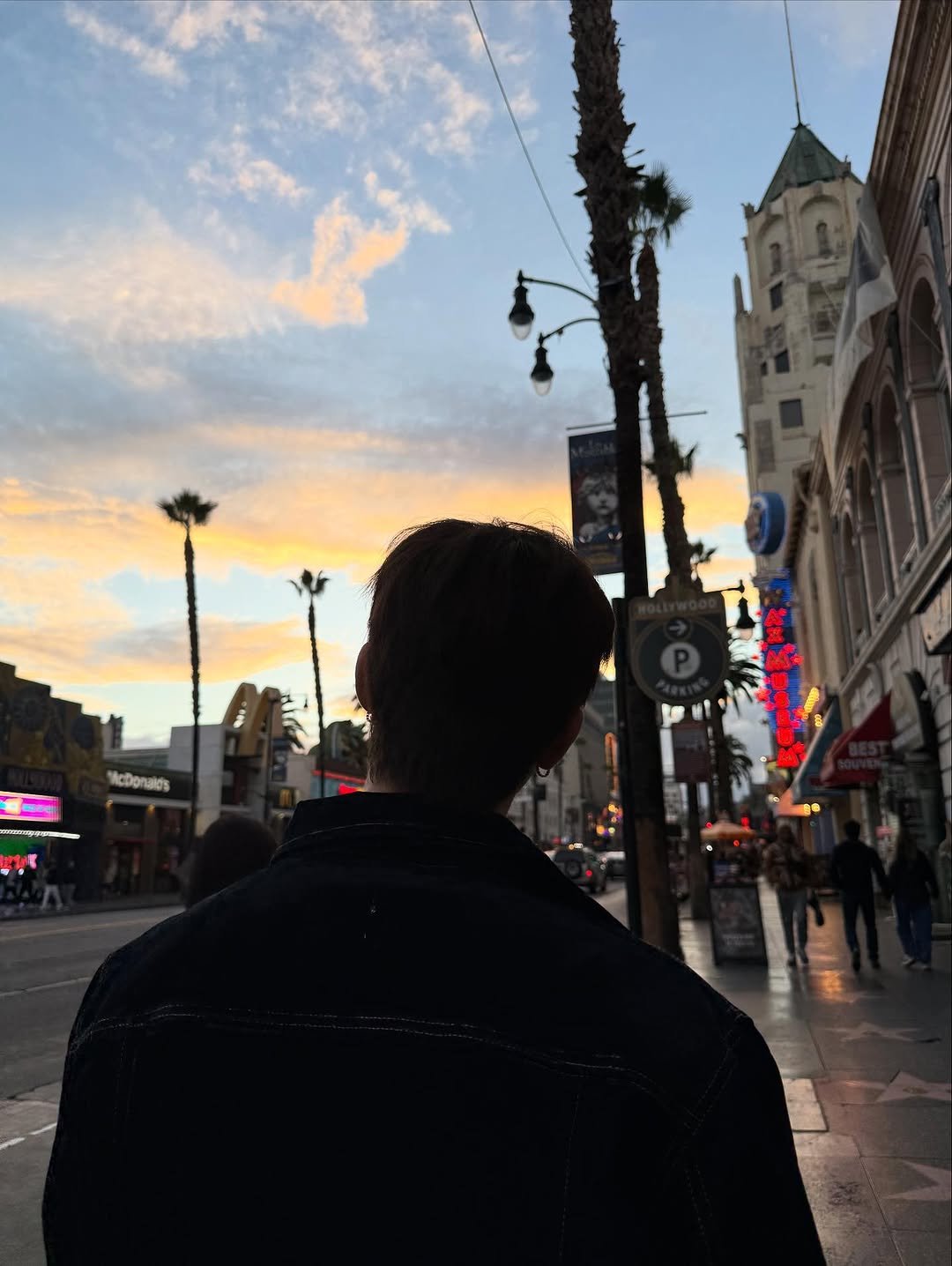 Photo by 이찬 on October 15, 2025. May be an image of palm trees.