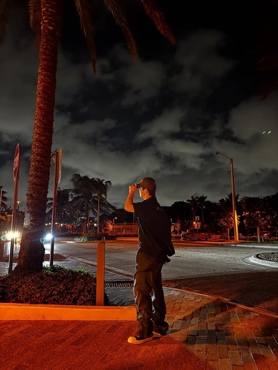 Photo by 이찬 on October 28, 2025. May be an image of standing, street, night, palm trees, curb and lamppost.