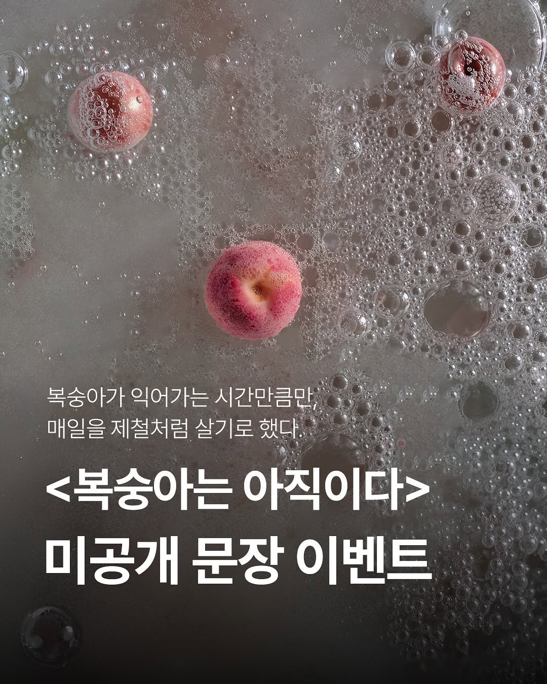 feelmbook 게시물 이미지: “모든 것이 끝났으면 좋겠다고 생각하던 밤과
아무 일도 없다는 듯 다시 시작되는...