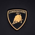 lamborghini_lambo_fun 프로필 사진