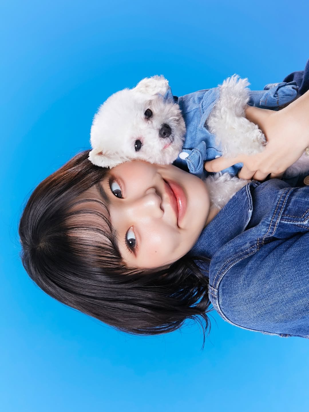 Photo shared by 프로필 사진 전문 | FF STUDIO on December 22, 2025 tagging @donkeyphoto, @yoojaewook__, and @ff__studio_. May be an image of Maltese, duffle coat and text.