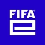 fifae 프로필 사진