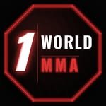 1worldmma 프로필 사진