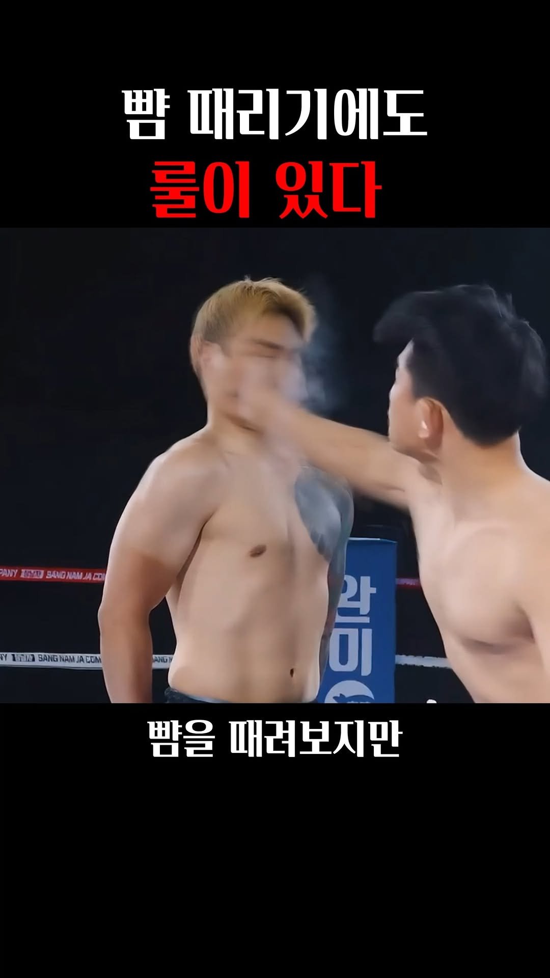 fightzizizik 게시물 이미지: 뺨 때리기에도 룰이있다