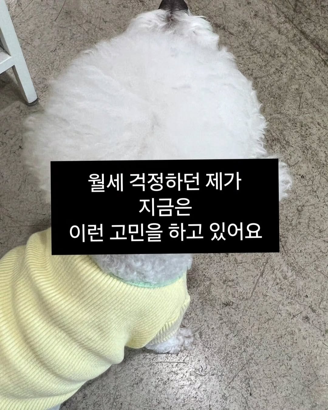 filee.mue 게시물 이미지: 예전에는 
손님이 없는 게 제일 큰 고민이었는데,

이제는
월세 걱정 대신
어떤...