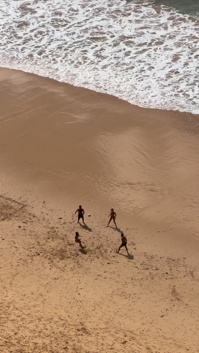 filipetoledo 게시물 이미지: alta no paraíso 🍻🌴🌊
@andrelamoglia...