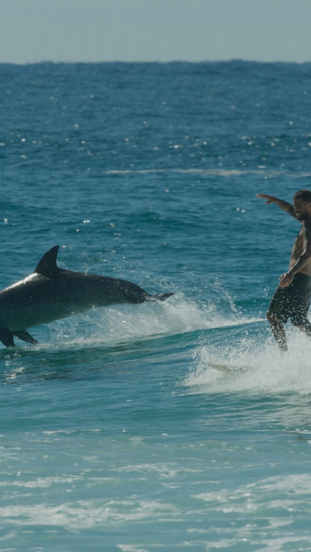 filipetoledo 게시물 이미지: Das coisas que só o surf proporciona… obrigado...
