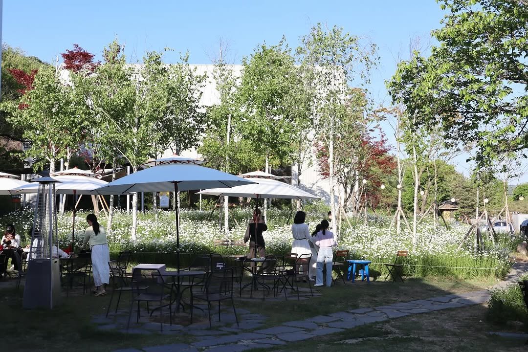 fillmoodcafe 게시물 이미지: fillmood daisy season, 2026
어린이날 연휴 동안 필무드를...