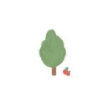 piknic_studio_ 프로필 사진