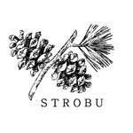 strobu_official 프로필 사진