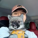 fatalant 프로필 사진