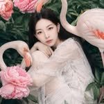 kkiya_b 프로필 사진