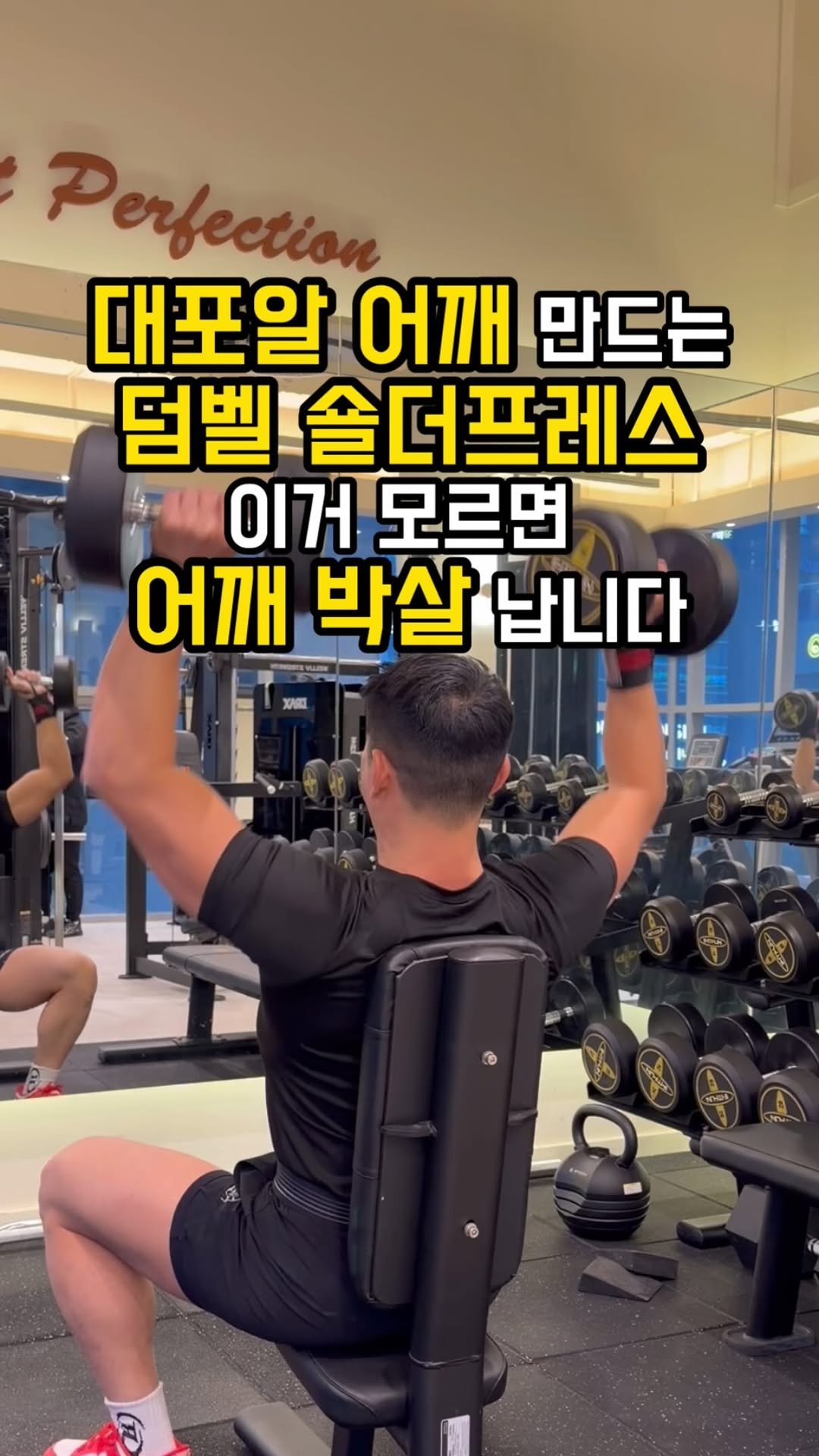 fit_vixtoryy 게시물 이미지: 덤벨 숄더프레스만 하면 
어깨가 찝히고 아프셨던 분들,
운동이 어려웠던 게 아니라...