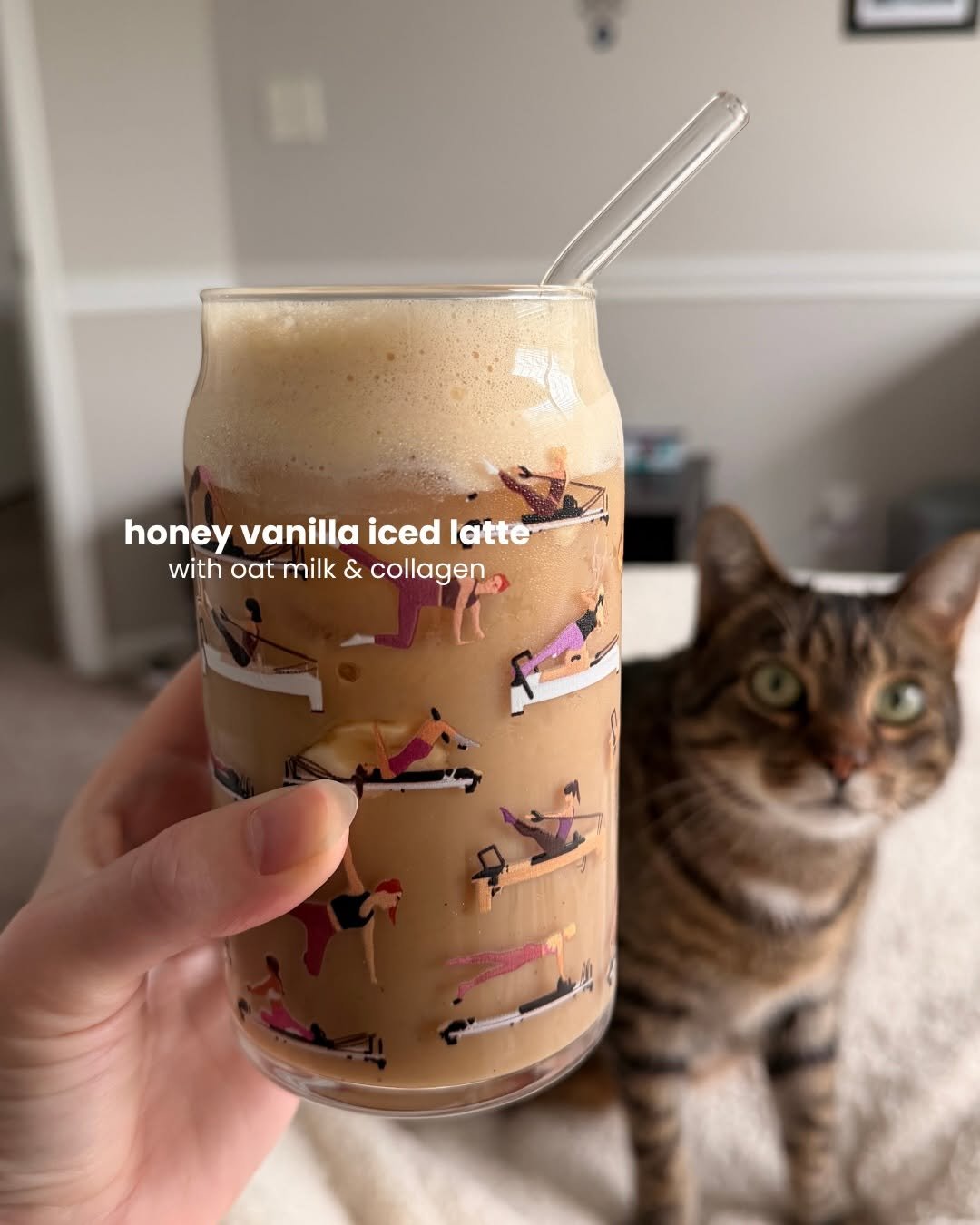 fitandfedbysteph 게시물 이미지: recent meals I’ve been enjoying 🥥🫐✨

food is...