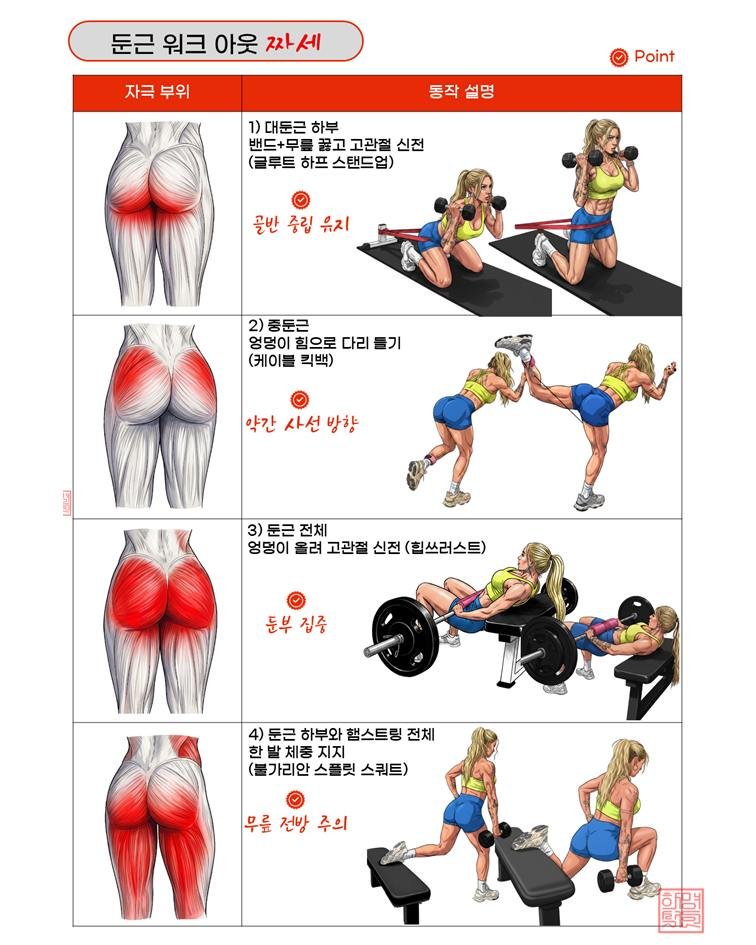 fitness_library_ 게시물 이미지: [출처] '헷갈려 헬쓰' 현재 제작ing

1) 대둔근 하부 – 밴드 힙 힌지...