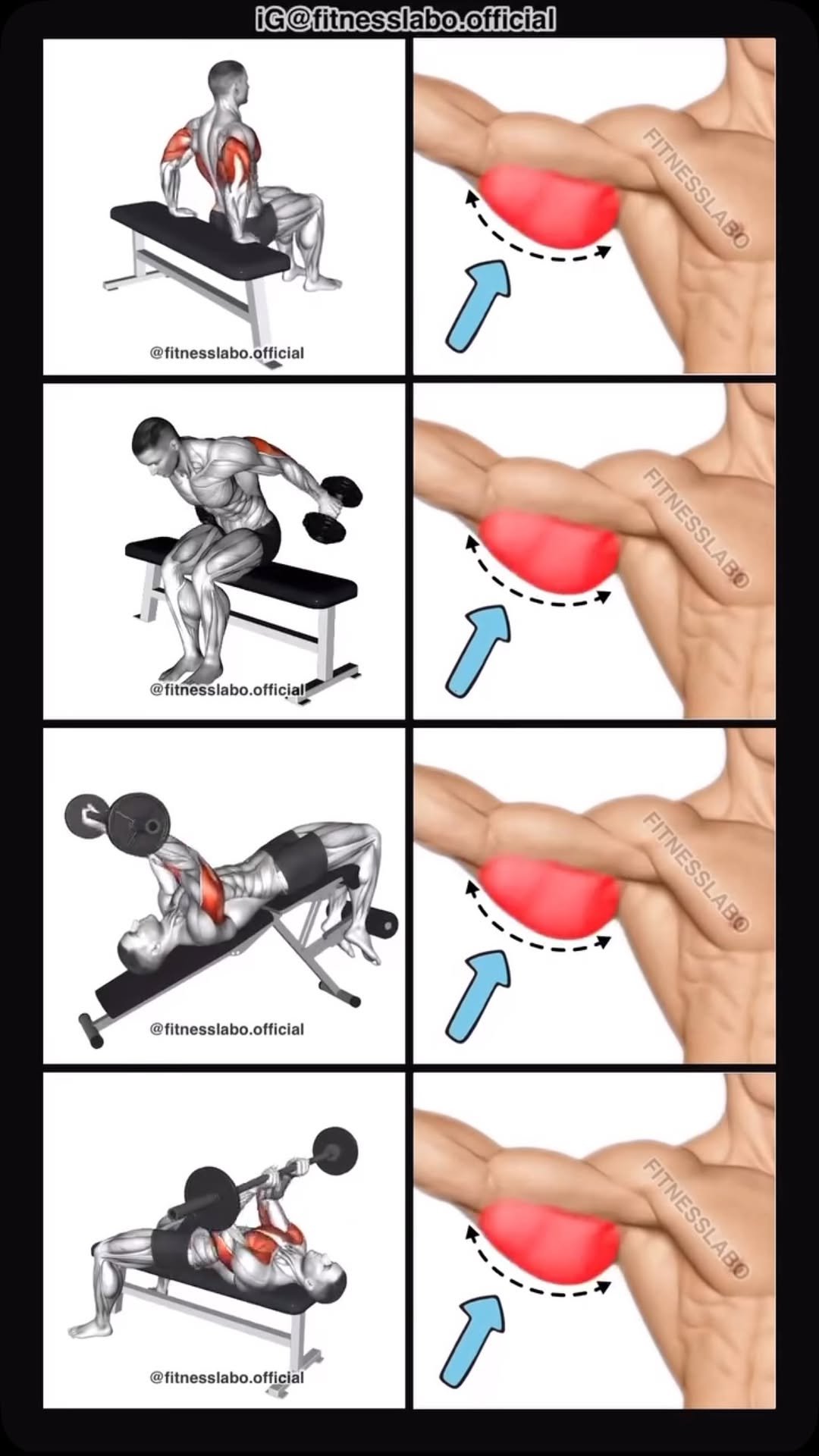 fitnesslabo.official 게시물 이미지: ✅ How to Build Bigger Triceps 

① Bench Dips
②...