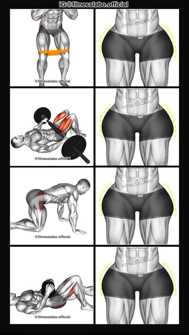 fitnesslabo.official 게시물 이미지: ✅ How to Build a Wider Hips

① Band...
