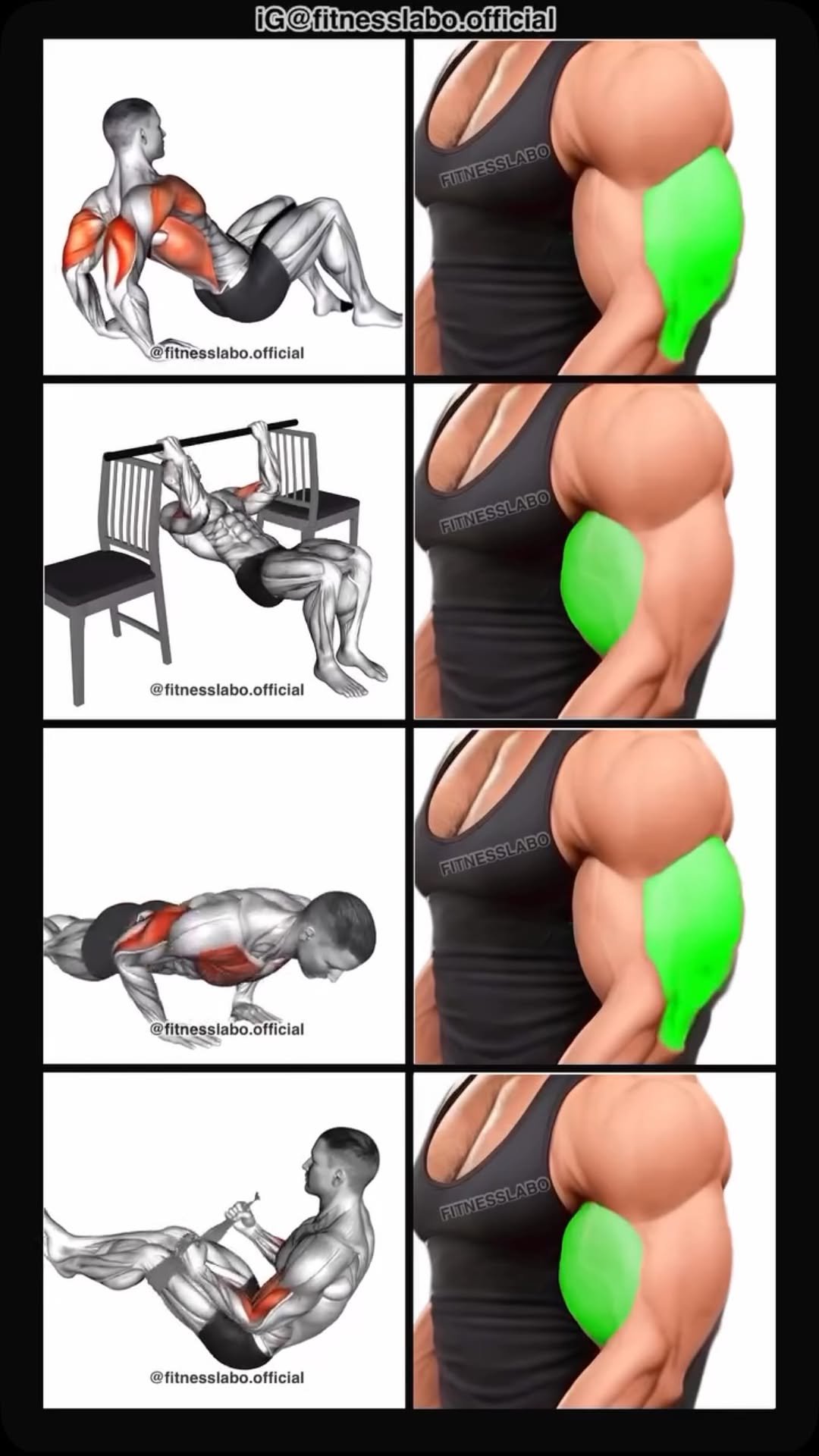 fitnesslabo.official 게시물 이미지: ✅ Arm Workout using Bodyweight 

① Dips on...