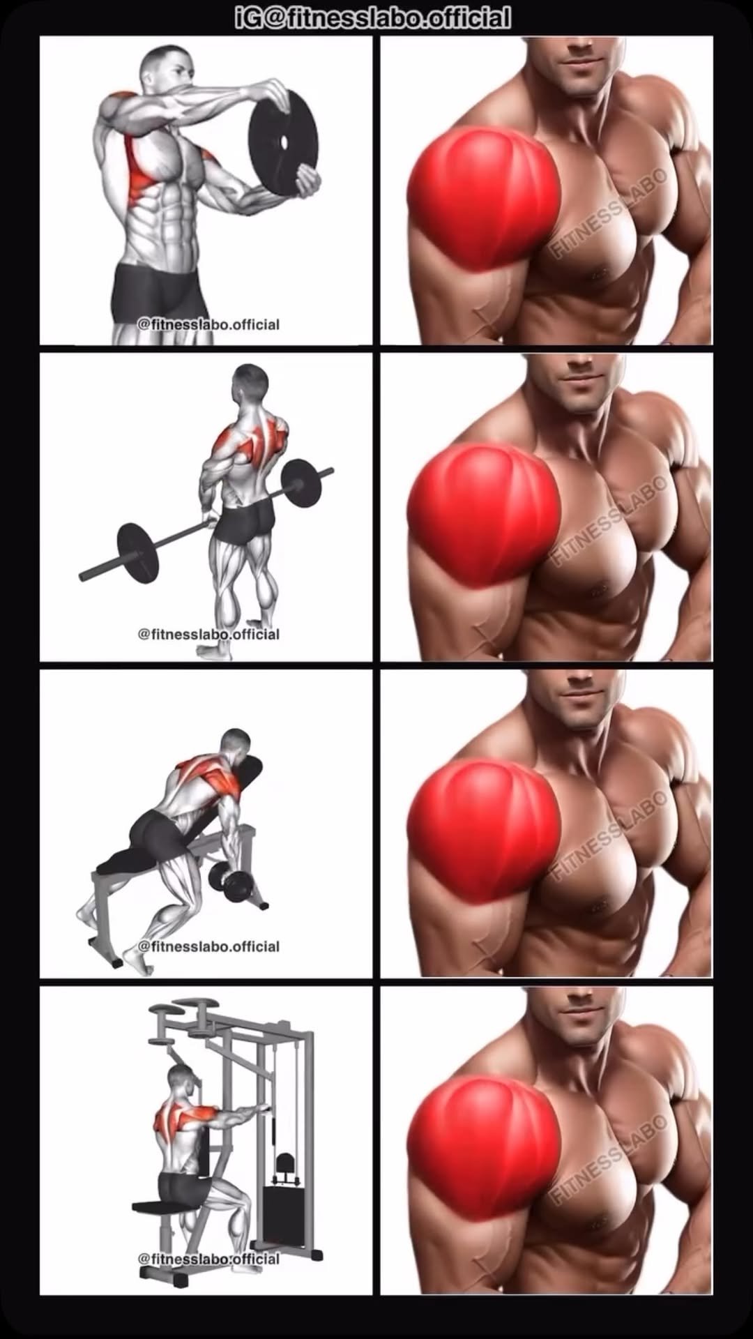fitnesslabo.official 게시물 이미지: ✅ How to Build Bigger Shoulders 

① Standing...