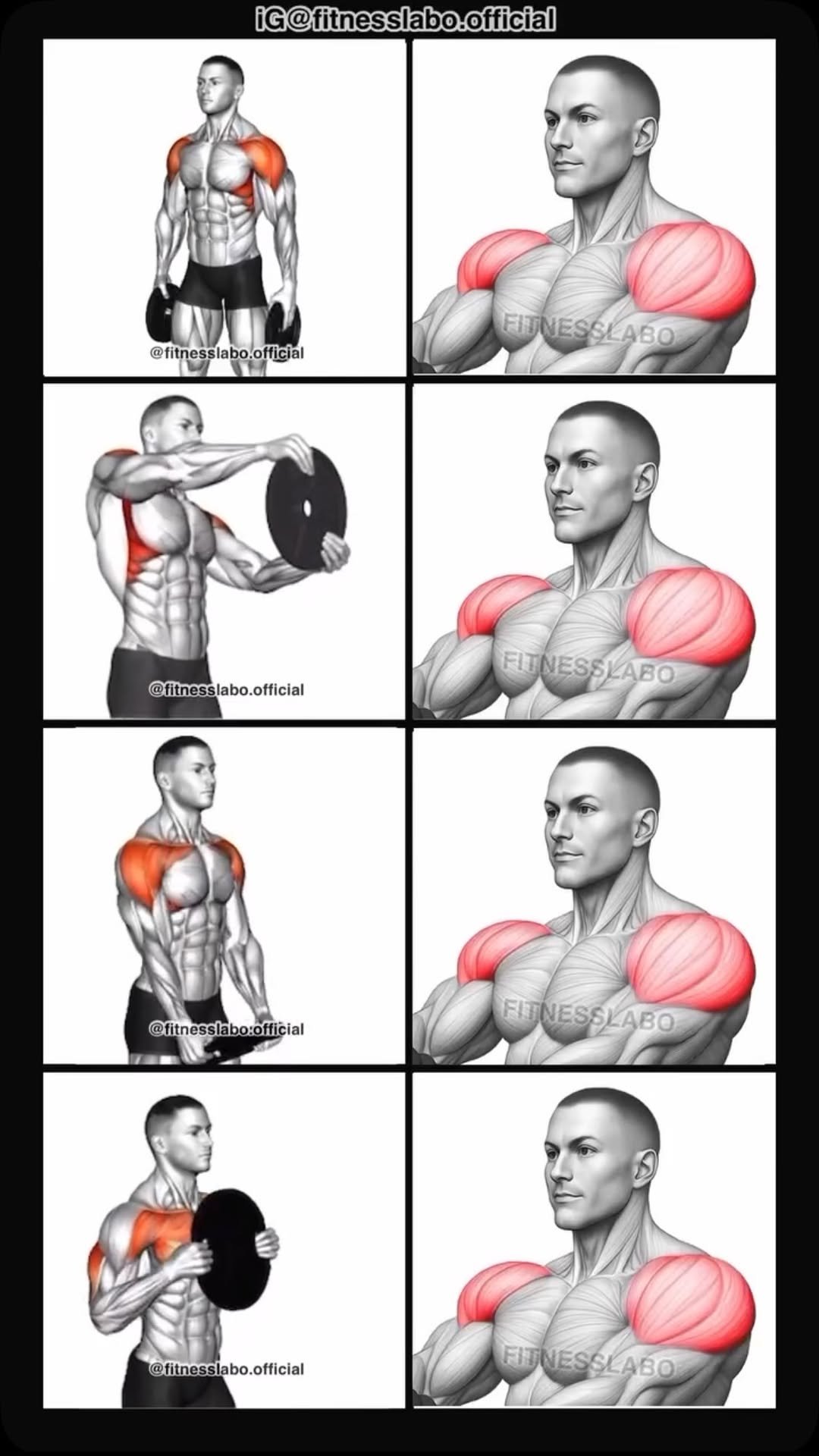 fitnesslabo.official 게시물 이미지: ✅ Shoulder Workout using Weight Plates 

①...
