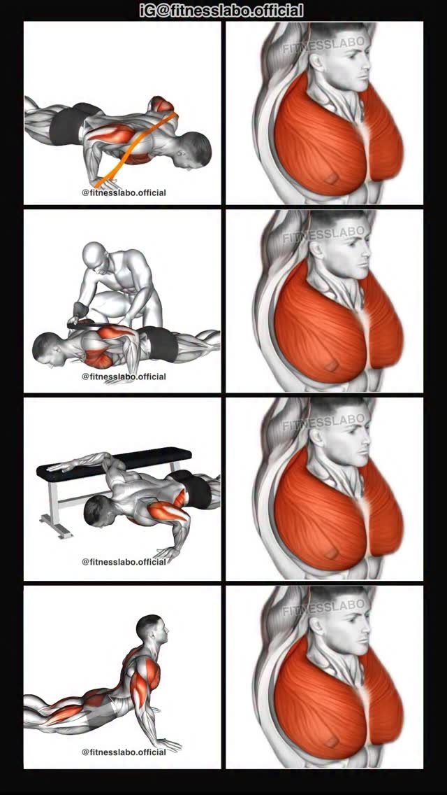 fitnesslabo.official 게시물 이미지: ✅ Exercises for a Bigger Chest 

① Band...