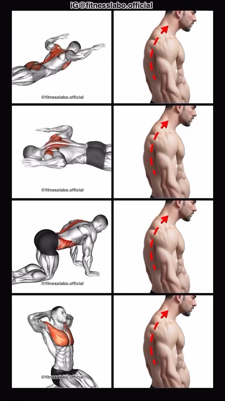 fitnesslabo.official 게시물 이미지: ✅ How to Fix Bad Posture 

① Back Extension 
②...