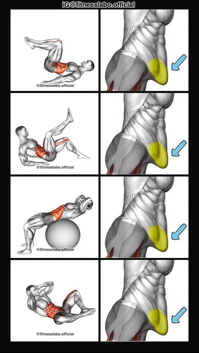 fitnesslabo.official 게시물 이미지: ✅ Lower Abs Workout 

① Hip Raise 
② Alternate...