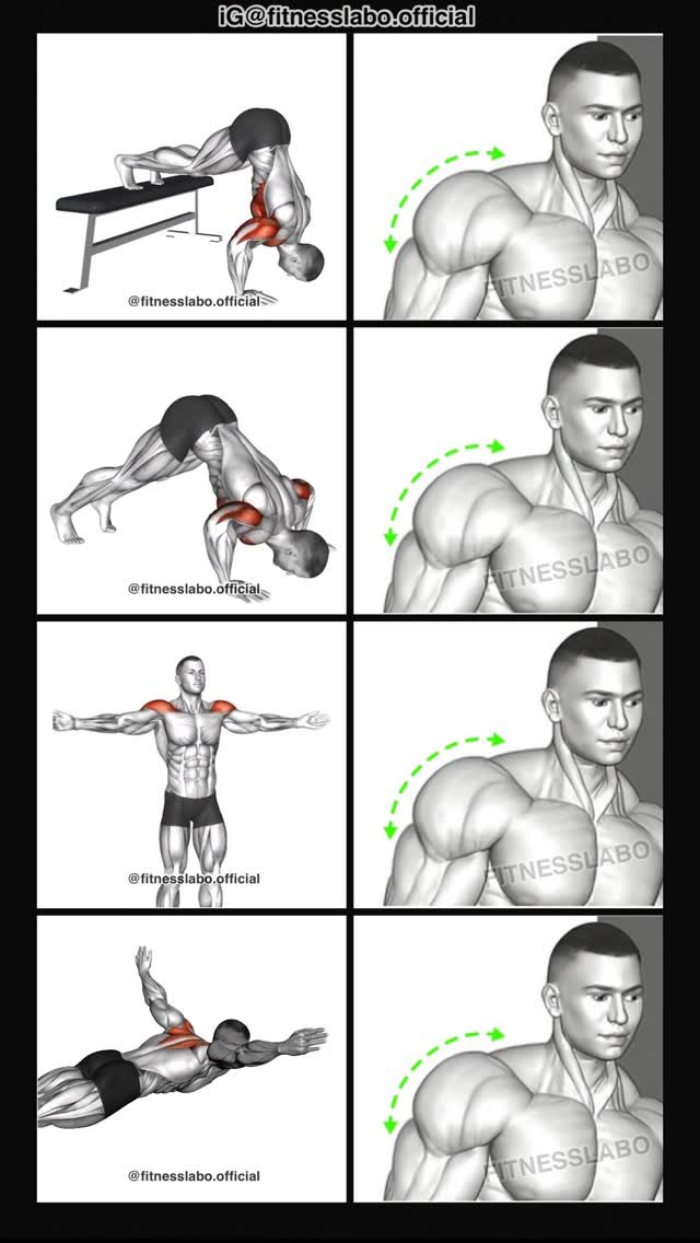 fitnesslabo.official 게시물 이미지: ✅ Shoulder Workout at Home

① Elevated Pike...