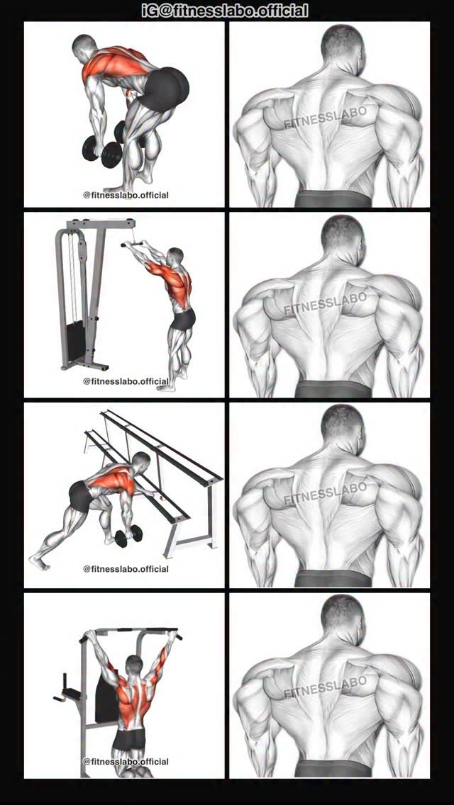 fitnesslabo.official 게시물 이미지: ✅ Exercises for a Bigger Back

① Dumbbell Bent...