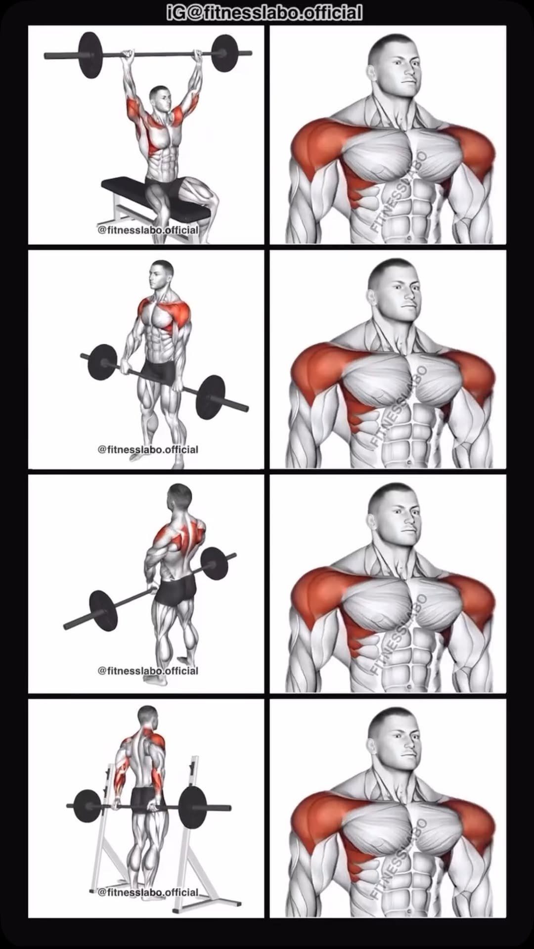 fitnesslabo.official 게시물 이미지: ✅ Shoulder Workout using Barbell

① Overhead...