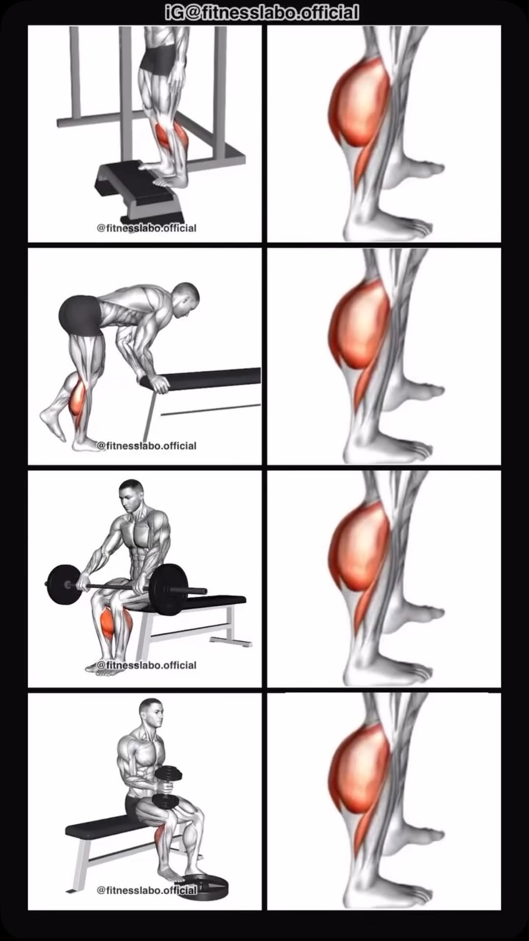fitnesslabo.official 게시물 이미지: ✅ How to Build Bigger Claves 

① Standing Calf...