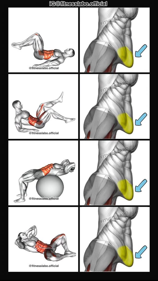fitnesslabo.official 게시물 이미지: ✅ Exercises for a Lower Abs

① Hip Raise
②...