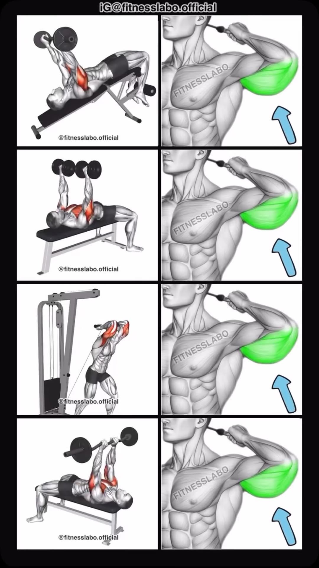 fitnesslabo.official 게시물 이미지: ✅ How to Get Bigger Triceps 

① Decline...