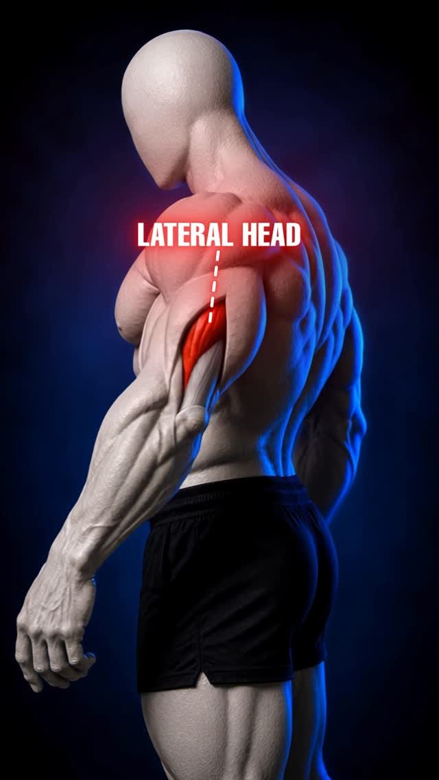 fitonomy.coach 게시물 이미지: Wider triceps aren’t built by guessing.
Train...