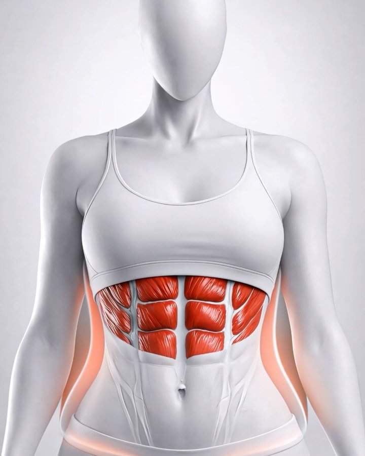 fitonomyapp 게시물 이미지: Train Your Core Without Thickening Your...
