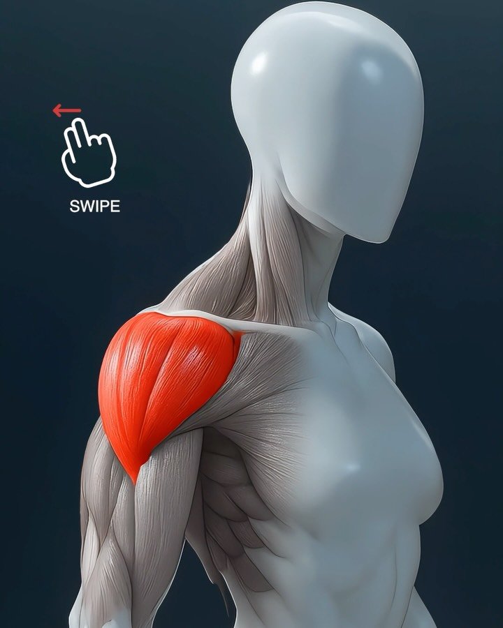 fitonomyapp 게시물 이미지: Cable-Only Shoulder Workout

Train smarter —...