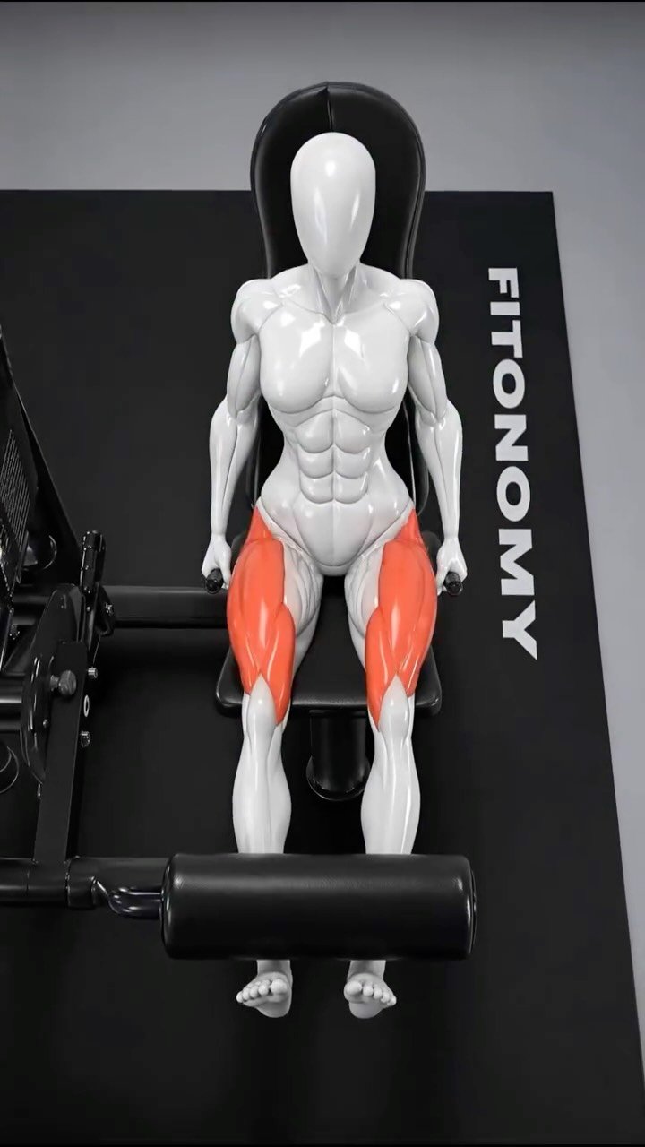 fitonomyapp 게시물 이미지: You’re Probably Doing Leg Extensions...