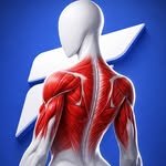 fitonomyapp 인스타그램 프로필 사진