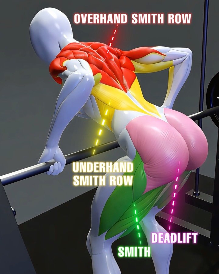 fitonomyapp 게시물 이미지: Grip Changes What the Smith Machine...