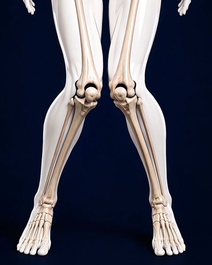 fitonomyapp 게시물 이미지: Knock knees?

Build stronger hips. Control...
