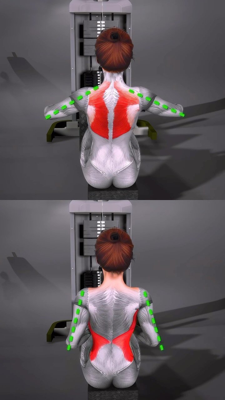 fitonomytips 게시물 이미지: Strengthen and Sculpt Your Back: Narrow...