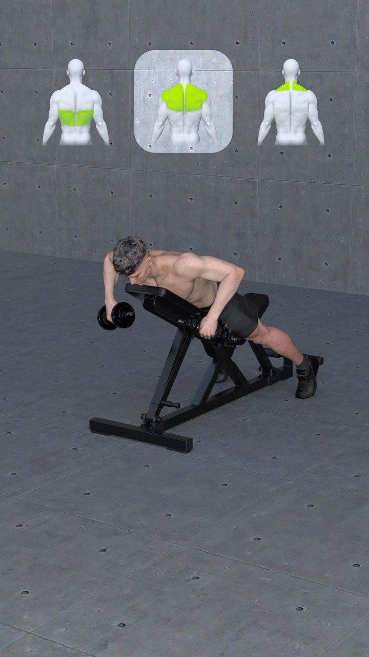 fitosquad 게시물 이미지: Are you Training your Back Properly? ☑️ by...