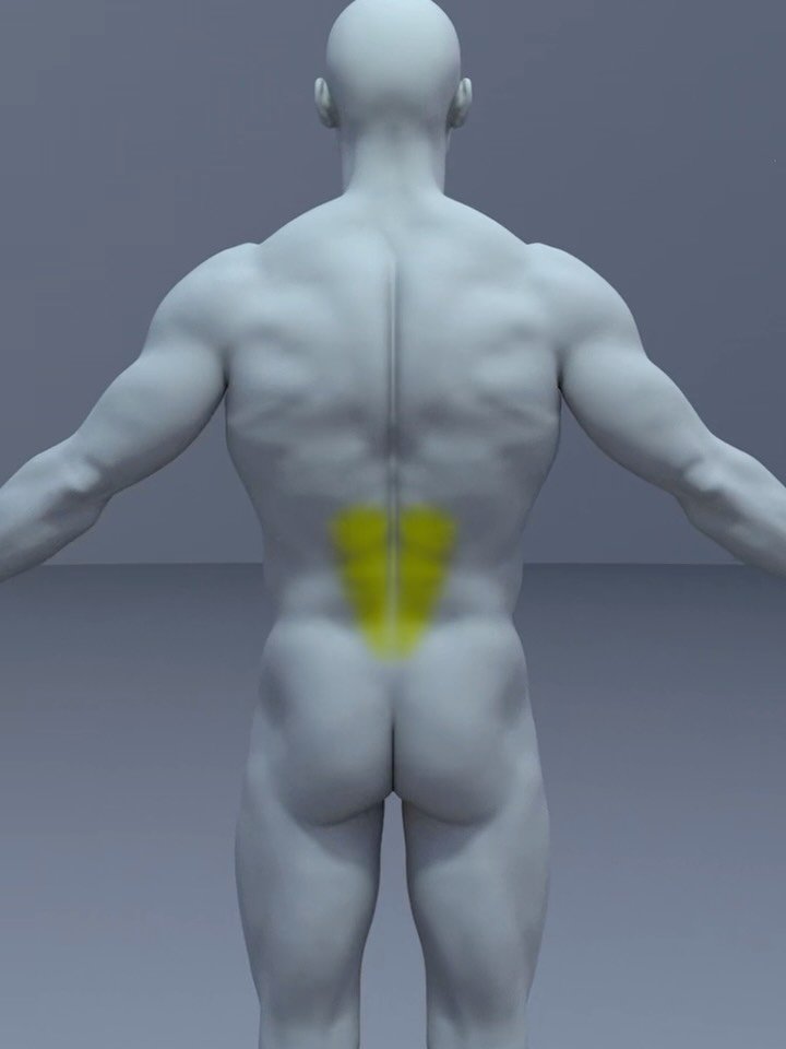 fitosquad 게시물 이미지: Stiff Lower Back? ☑️ by @fitzzapp 
.
FITZZ –...