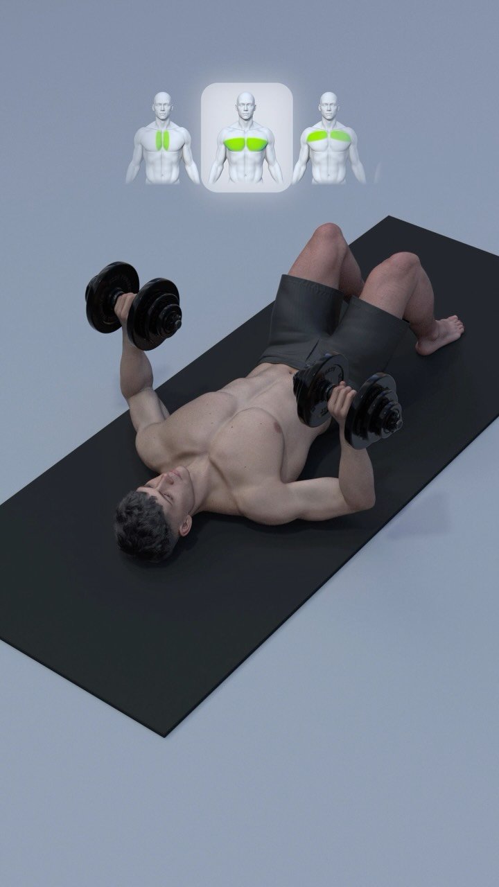fitosquad 게시물 이미지: Training Chest Using Only a Pair of Dumbbells!...