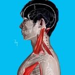 body1st_gdy 프로필 사진